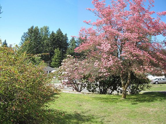 2nd image of 11621 99th Avenue Ct E