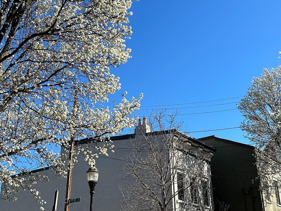 Orchard Street in OTR