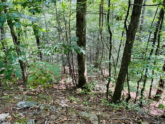 3rd image of 18 Meadow View Rd Lot 18