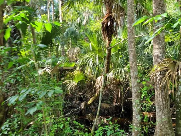 10234 W Fayette St, Homosassa, FL 34448
