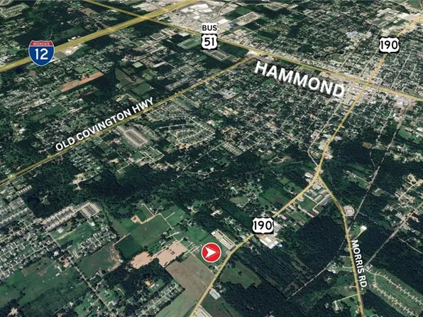 17458 Highway 190 E, Hammond, LA 70401