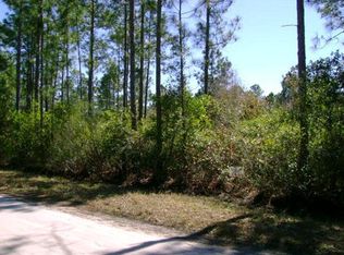 1317 Elder St, Bunnell, FL 32110
