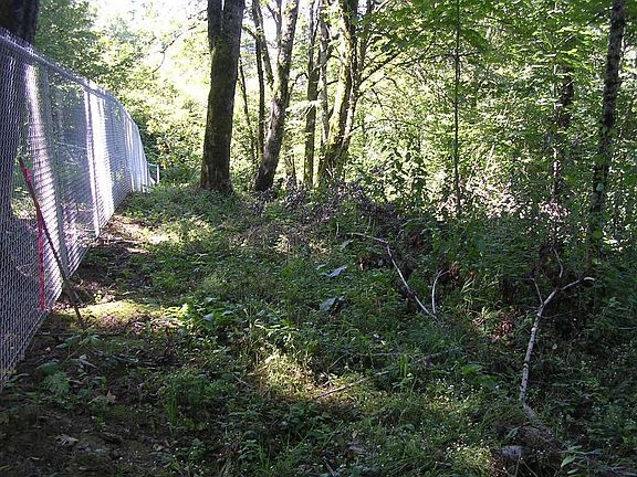 Back fence