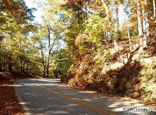 2 Buffalo Shoals Rd, Lake Lure, NC 28746
