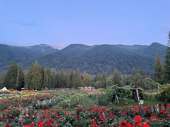 5th image of 13842 Spratt Rd