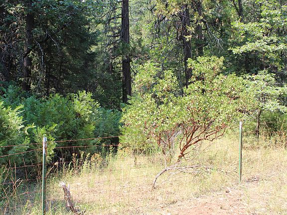4th image of LOT 29 Orion Dr