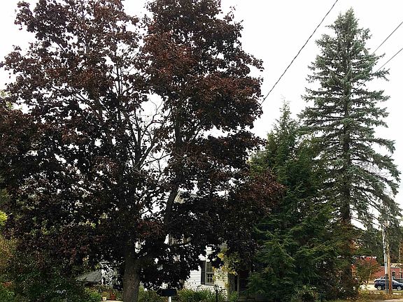 4th image of 436 Elm Street