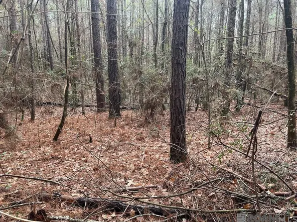 0 Highway 481, Converse, LA 71419