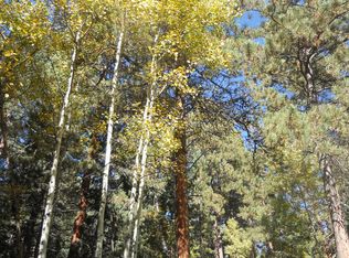 11538 Broken Arrow Dr, Conifer, CO 80433