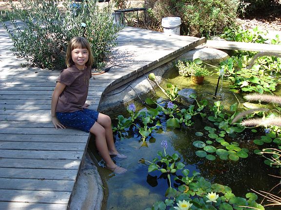 Backyard pond