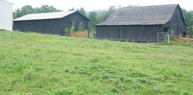 2nd image of 80 Pinwil Dr