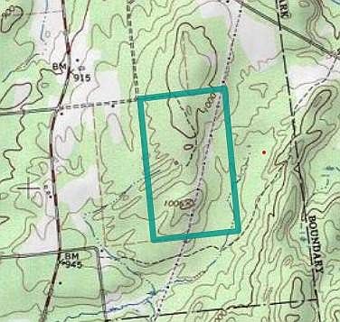 3rd image of 0 Blackmer Rd