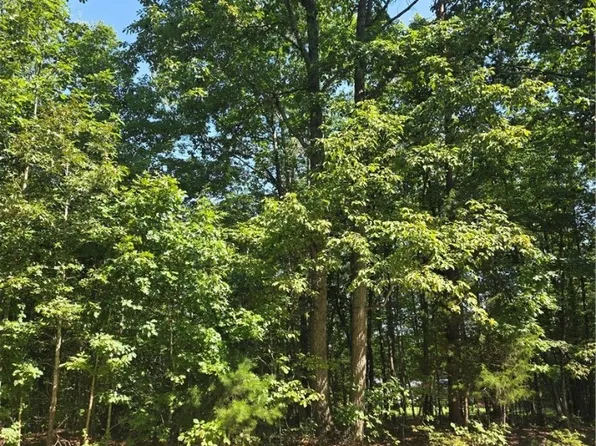 0 Watkins Ln Lot 10, Meherrin, VA 23954