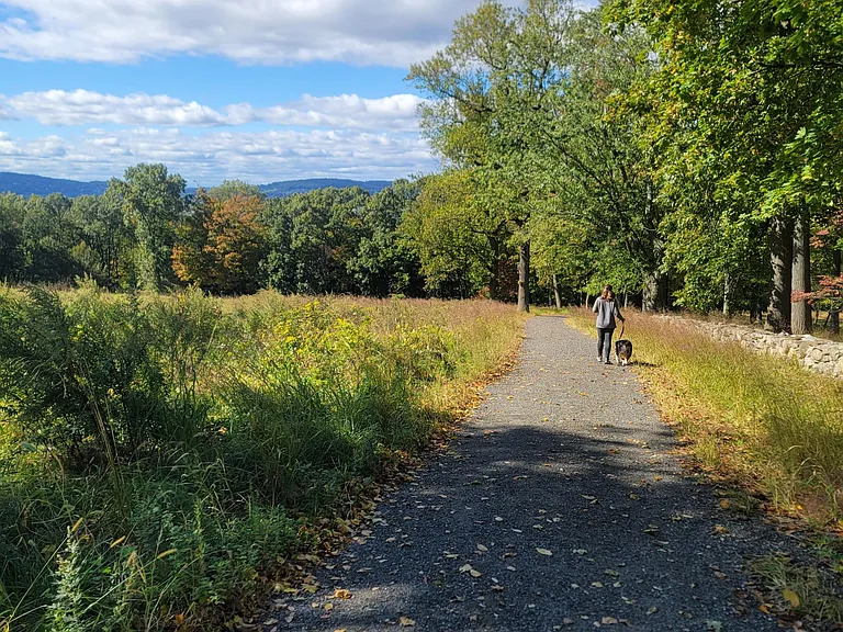 15-minute walk