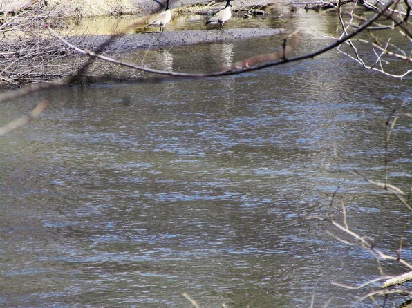 556 Hardin Rd, Alden, IA 50006