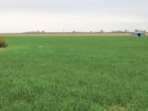 0 County Road 10, Keenesburg, CO 80643