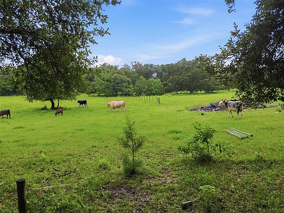 3rd image of 9299 WEATHERLY ROAD