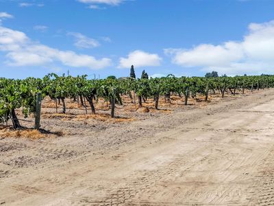 0 Avenue 13, Madera, CA, 93637