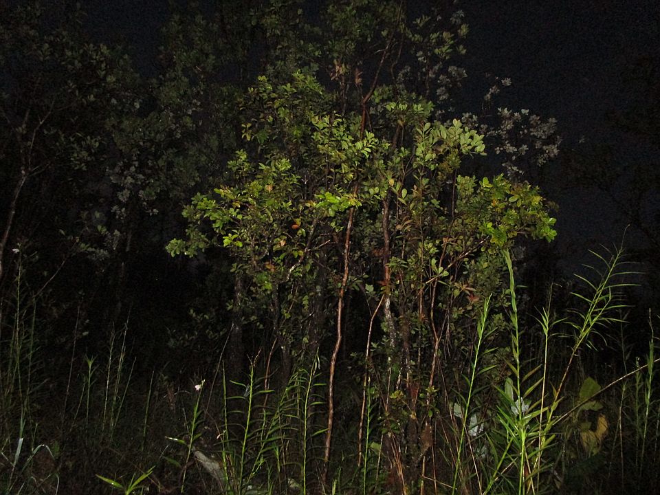 2nd image of Noe Kuahiwi Rd Lot 34