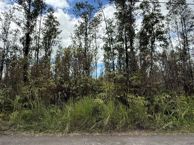 Road F #Ale, Kurtistown, HI, 96760