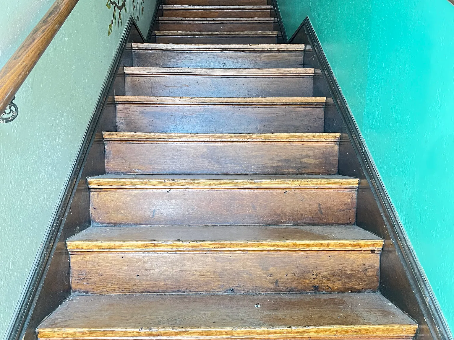 SolomonandmimiLLC — Photo 3