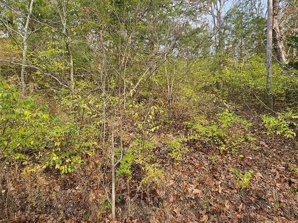 7320 Woodland Dr, Cedar Hill, MO 63016