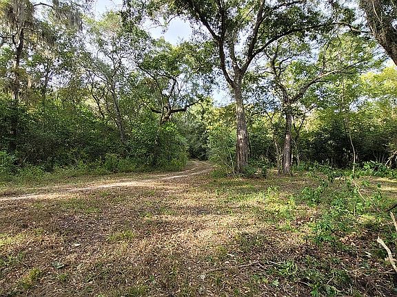 5th image of 1651 Private Road 648