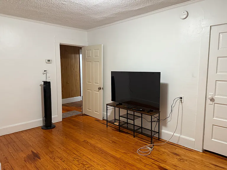 300 Bridge St #1 — Photo 10