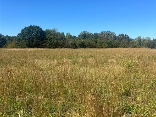 LOT 15 Hunt Ln, Adolphus, KY 42120