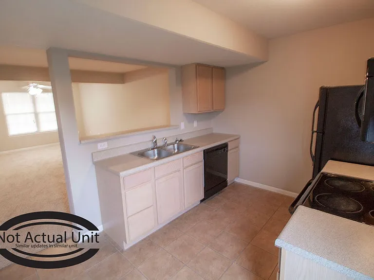 3914 Snowy Owl Dr — Photo 7