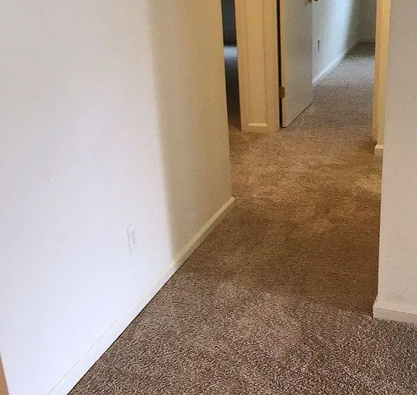 1014 Arbor Dr #1 — Photo 1