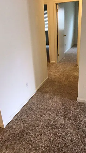 1014 Arbor Dr #1 Photo 1