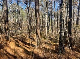 0 Wallace Tatum Rd LOT 1, Cumming, GA 30028