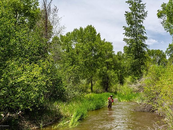 Tributary behind the house