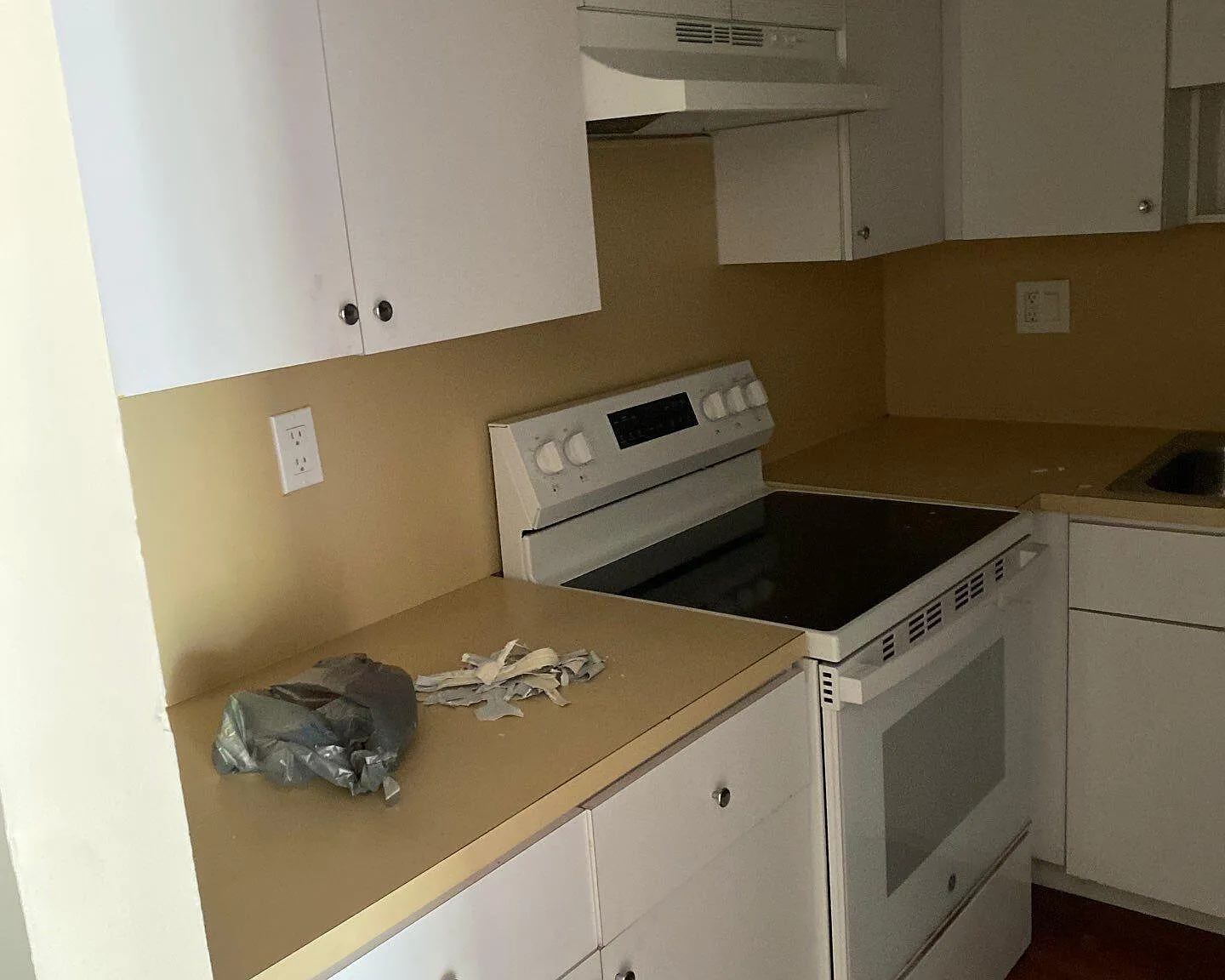 1 bed, 1.0 bath, 633 sqft, $1,500 — Photo 4