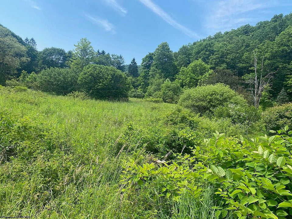1st image of Grass Lick Run