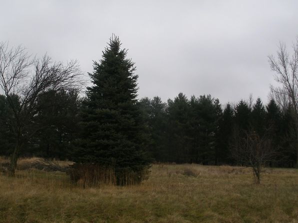 64457 Needham Rd, Burr Oak, MI 49030