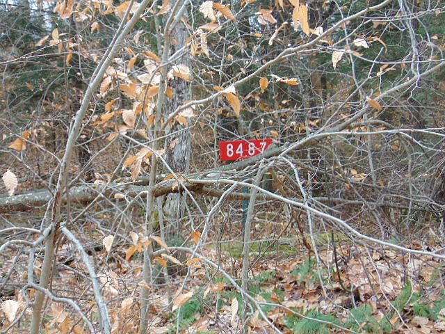 2nd image of 8487 Fordney Tower Rd