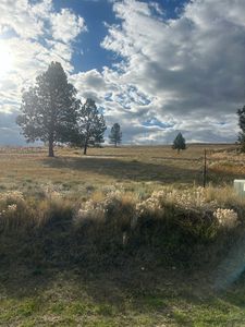 461 Arrow Hill Ranch Rd, Hamilton, MT, 59840