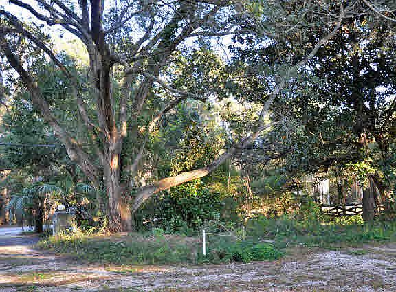 4th image of 14243 Scenic Highway 98