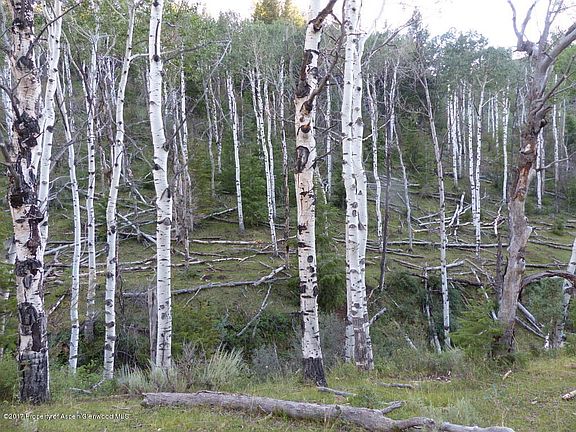5th image of Tbd Atchee Ridge Rd