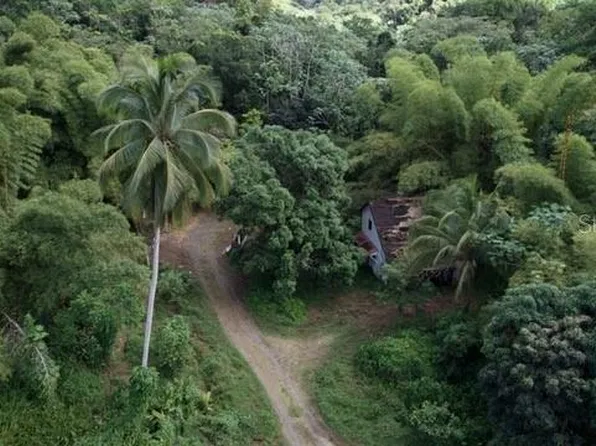 BO. PITAHAYA, LUQUILLO, PR 00773