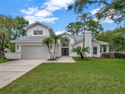 16317 Colwood Dr, Odessa, FL, 33556