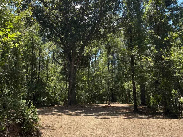 38270 Walker North Rd, Walker, LA 70785