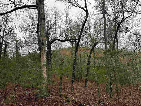 001-00447 0 Mc 6037, Yellville, AR 72687