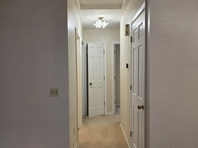 8410 Wisteria St — Photo 19