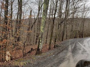 18 Brookside Rd, Davis, WV 26260