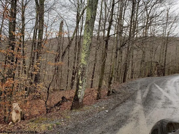 18 Brookside Rd, Davis, WV 26260