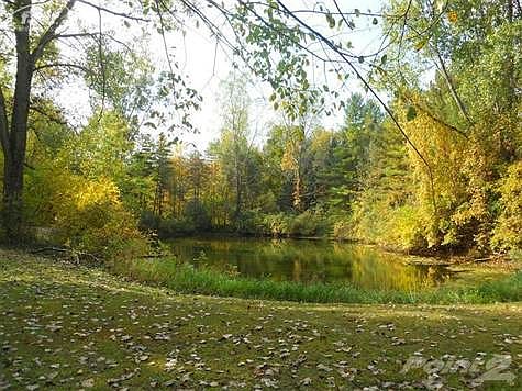 Beautiful pond with trails running alongside