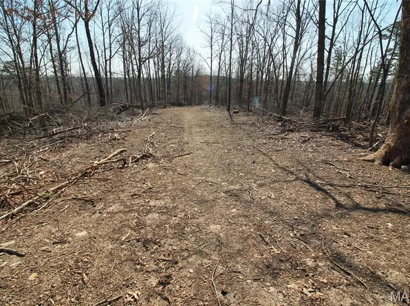 0 Madison St #411-120A-120A, Fredericktown, MO 63645